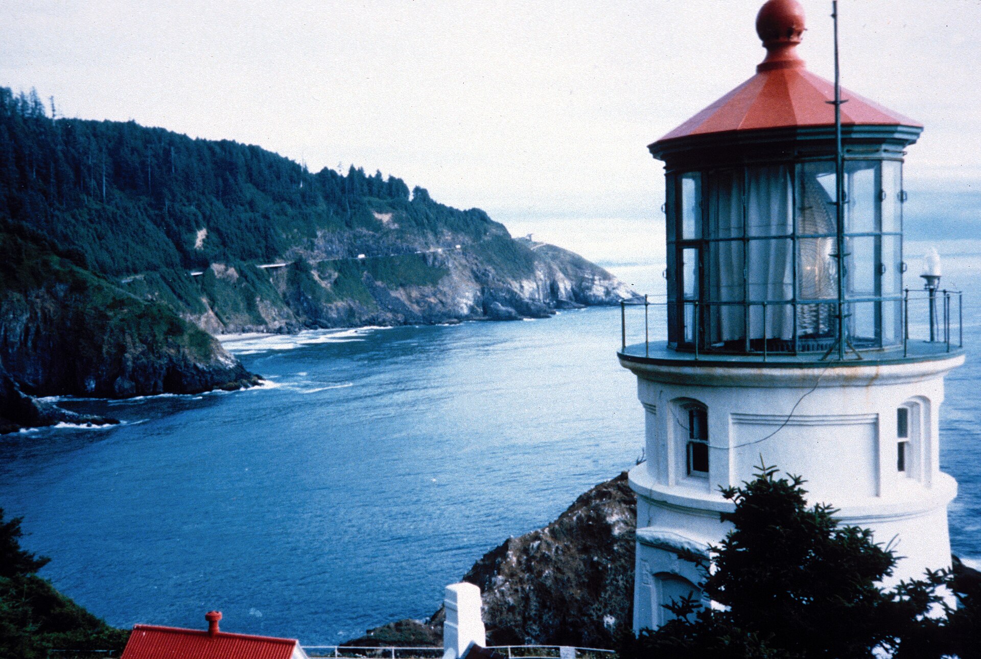 Heceta Head Lighthouse on the Oregon coast, with the forested headland and the cove below it.